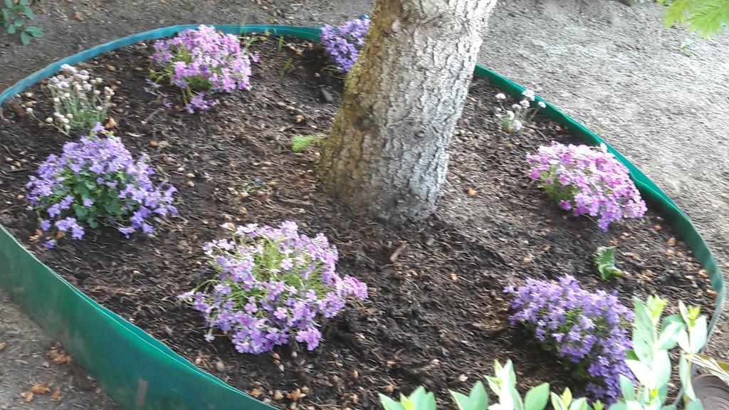 Szaloky Apartmanhaz Gyenesdiás エクステリア 写真